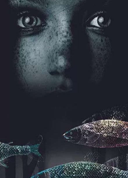 А рыбы спят?