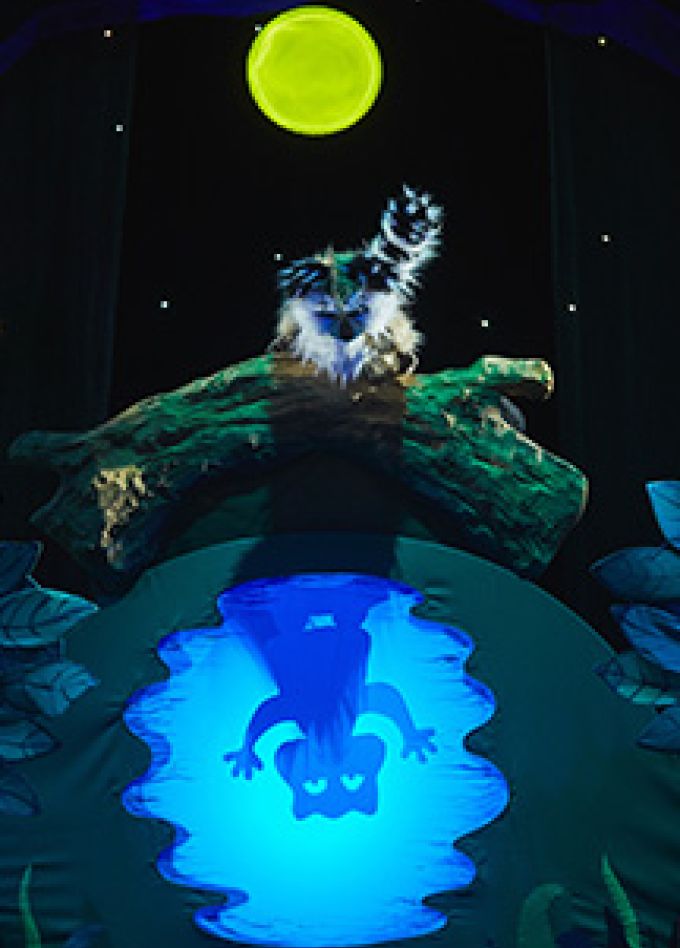 Крошка Енот