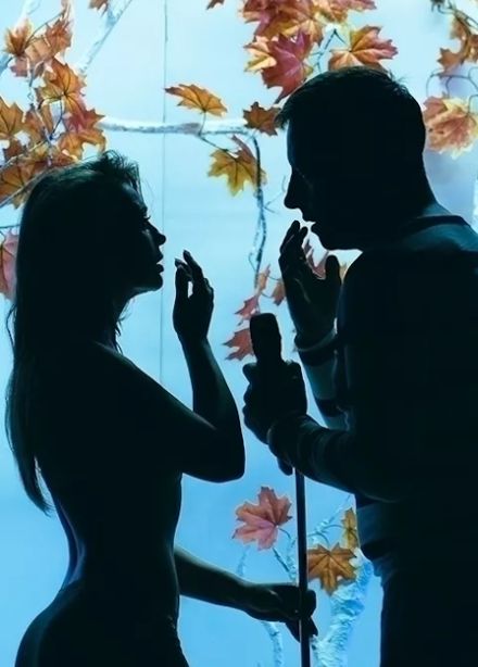 Тектоника чувств