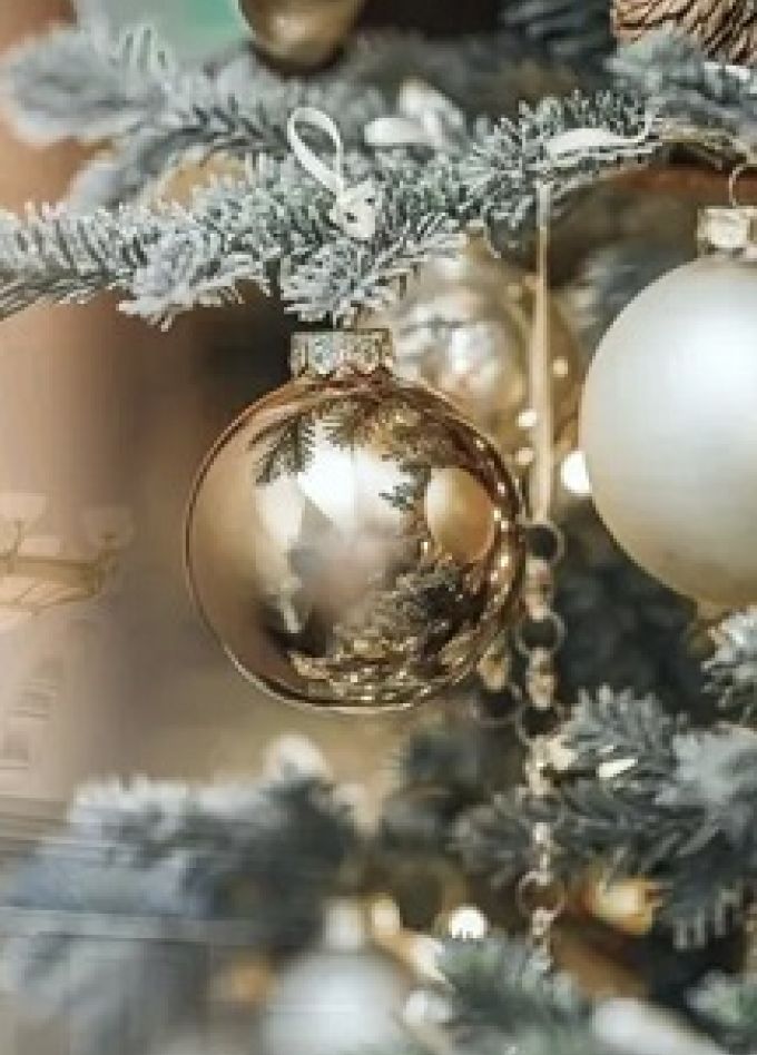 Зимний вечер в НОВАТе