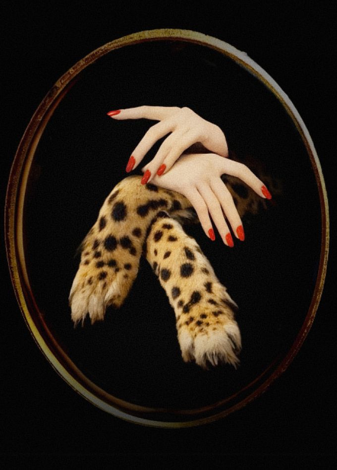 Ловушка для одинокого мужчины