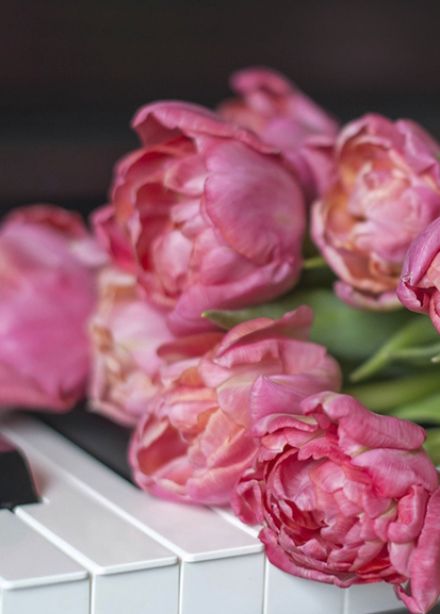 Для любимых женщин