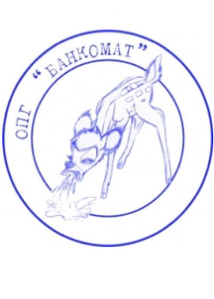 ОПГ Банкомат