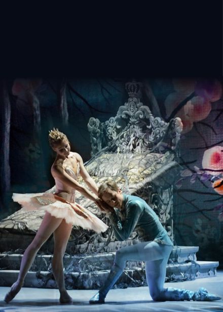 Спящая красавица