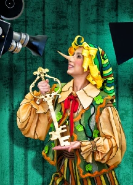 Необыкновенные приключения Буратино